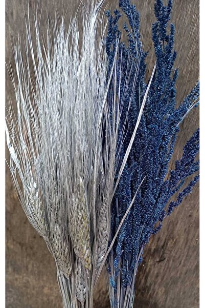 kutmen قمح فضي اللون وزهرة شرابة زرقاء اللون 60 فرعًا (زهرة جافة)