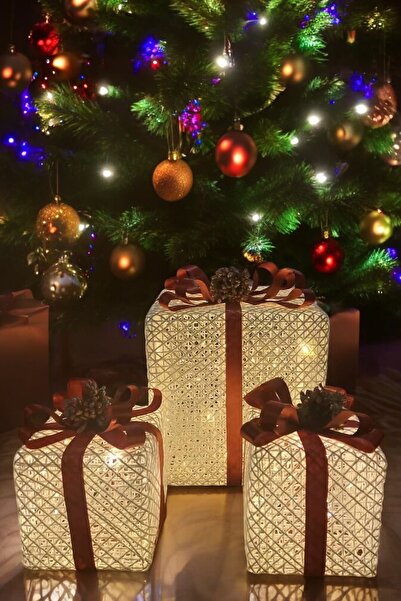 WILD DAISY مجموعة صناديق هدايا مضاءة بستة أضواء LED لشجرة عيد الميلاد (زينة ع...