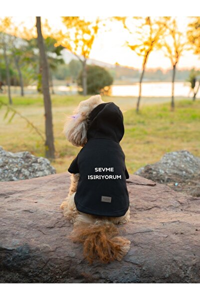 Buddy Store Kedi & Köpek Kıyafeti Elbiseleri Kıyafetleri Sweatshirt - Sevme Isırıyorum Baskılı Siyah Sweatshirt