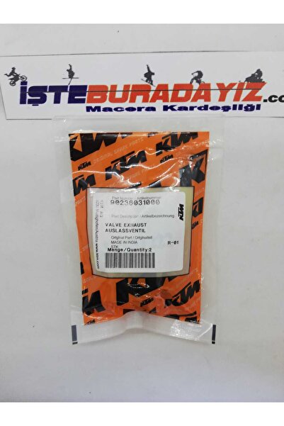 KTM EGZOZ SÜBABI(İSTEBURADAYİZ)