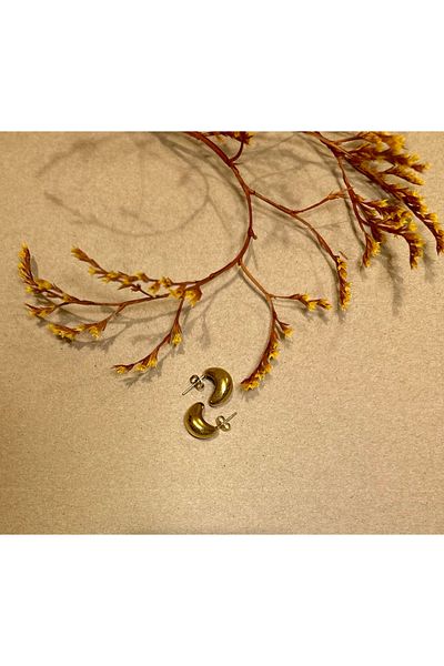 sorella Small Size Drop Model Small Bottega Earrings