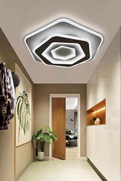 RSCOLLECTIONS Akıllı Kumandalı Modern Plafonyer Pleksi Yüksek Işık Gücü Led Tavana Yapışık Avize