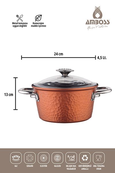 Amboss One Piece Cast 24 cm Titanium Coated Deep Pot - Glass Lid