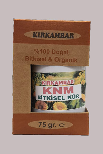 Kırk Ambar Kandida Mantarı Kürü (KNM )