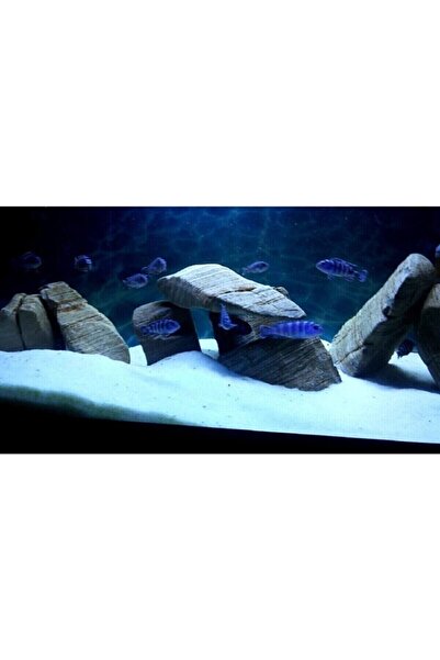 alişpet Kumu Beyaz Kalsit Silis 10 Kg Kalsitbsilis1-2mm