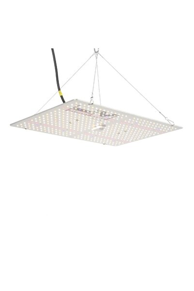 Harvest Master Quantum Board 200W Eco