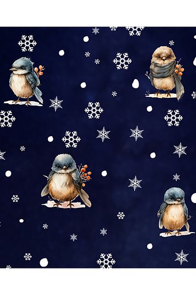 AlyMarkt Σετ αυτοκόλλητων 2025 Cute New Year Birds and Snowflakes 100% διπλής όψης - Πρωτοχρονιάτικη διακόσμηση