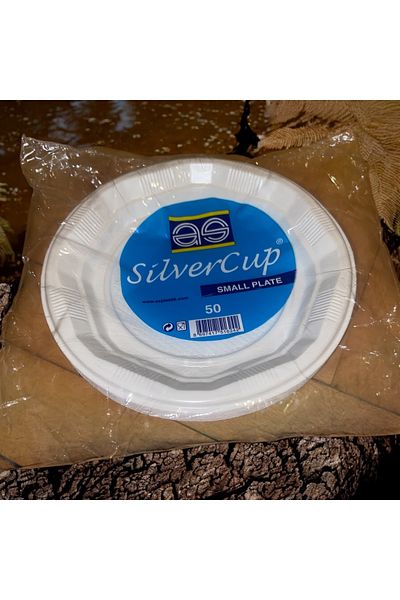 Silver 50 Plastic Plates - Wedding, Henna and Engagement Special Day Party