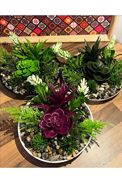 Eva Dekor Yapay Çiçek Skulentli Arajman Saksıda 3 Farklı Renk