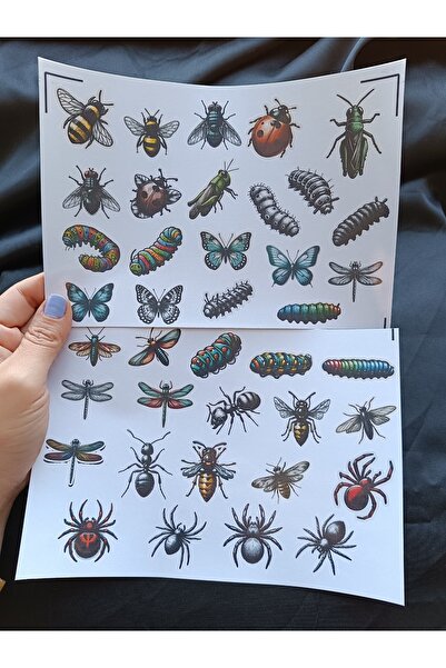 Pink Swan Craft Set de autocolante vintage cu insecte, jurnal cu glonțuri, au...