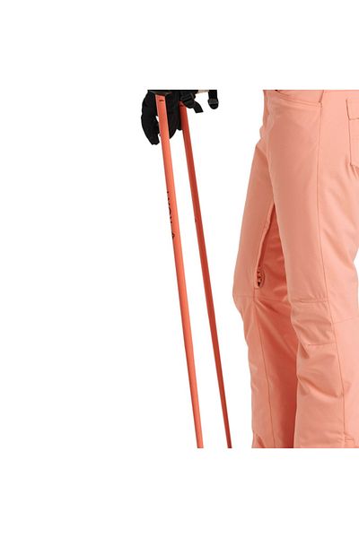Roxy Backyard Women's Snow Pants