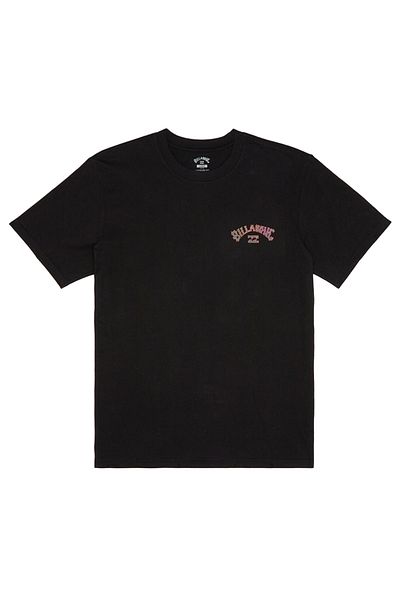 BİLLABONG Billabong Billabong Arch Fill Men's Black T-Shirt Men's T-Shirt Abyzt02256