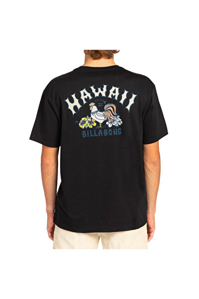 BİLLABONG Ανδρικό μπλουζάκι Arch Dreamy Place Ss ΜΑΥΡΟ ΑΝΔΡΙΚΟ ΜΠΛΟΥΖΑ EBYZT00107