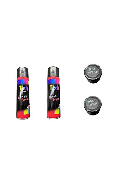 Format SPREY BOYA MAT SİYAH 2 Lİ SET ÇOK AMAÇLI BOYA 170 GRAM