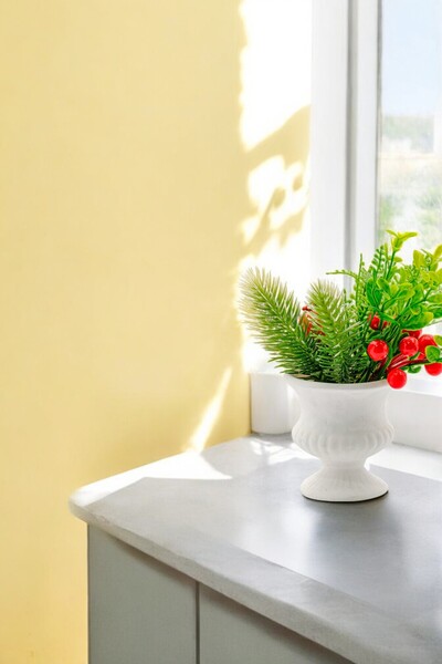 Evene Saksı Dekoratif Saksı Kaktüs Saksısı Sukulent Saksısı Küçük Saksı Model...