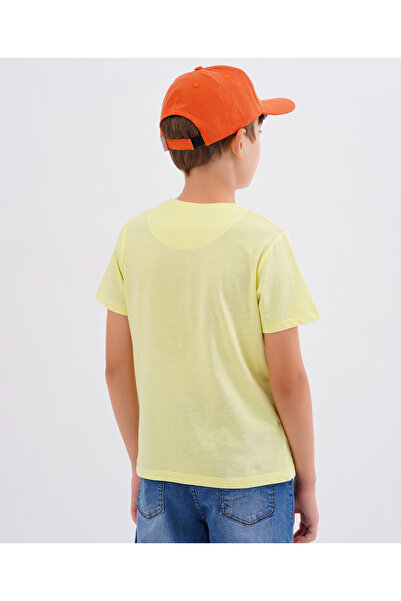 Primo Gino Half Sleeves T-Shirt Palm Tree Graphic Print - Blue