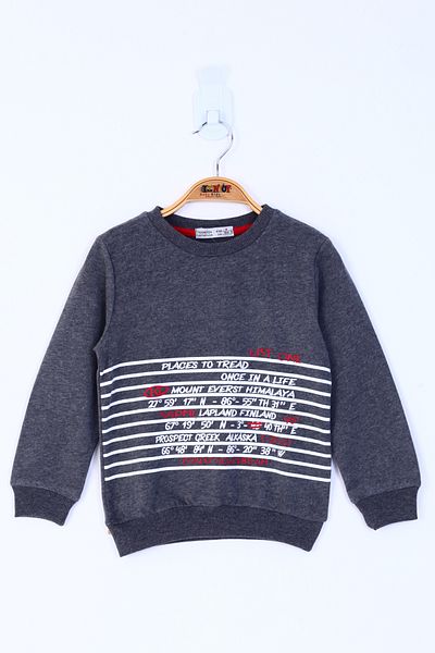 Toontoy Boys' Sweatshirt - Text Printed