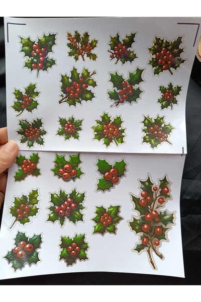 Pink Swan Craft Vintage Yılbaşı Kokina Çiçekleri Etiket Seti, Bullet Journal, Planlayıcı Stickers