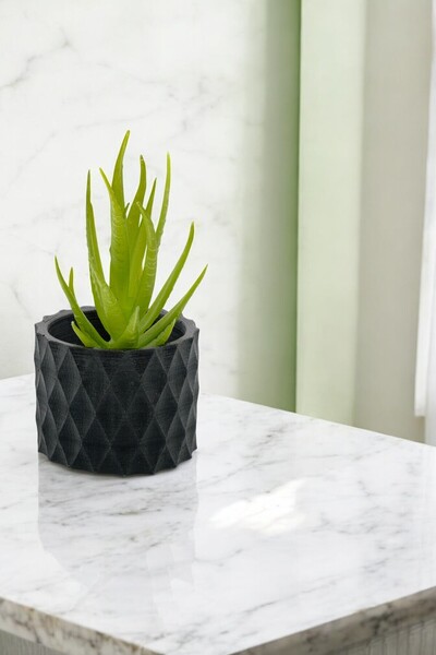 Evene Mini Çiçek Saksı Küçük Sukulent Siyah Kaktüs Saksısı Model 16