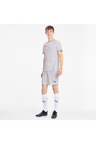 Puma Tričko Puma Teamgoal 23 Jersey, šedá, pánské