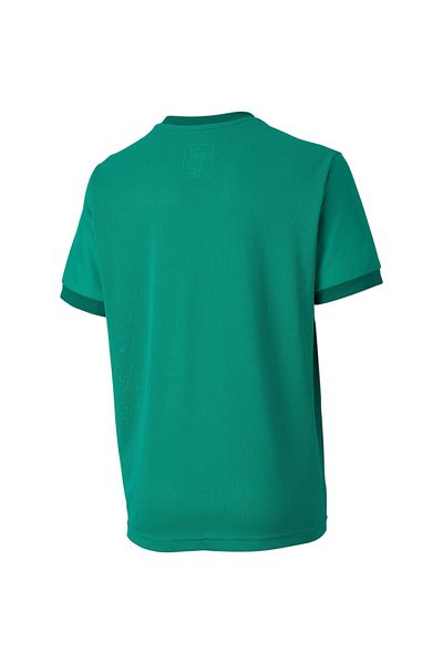 Puma T-shirt Puma Teamgoal 23 Jersey Jr, Green, Kids