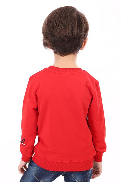 Toontoy Boy's Sweatshirt - Printed