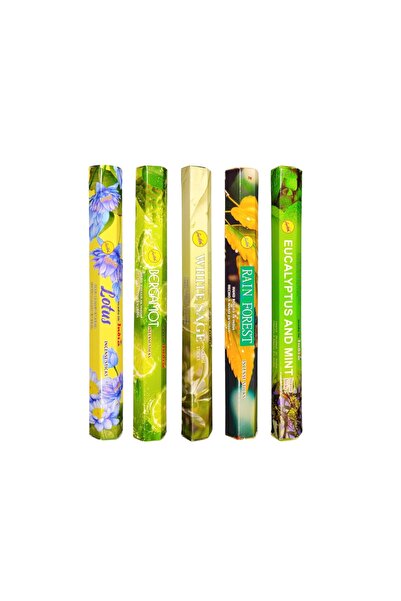sree vani Doğanın Esintisi Seti 100 Adet Tütsü 5 li Set Eucalyptus-Rain Fores...