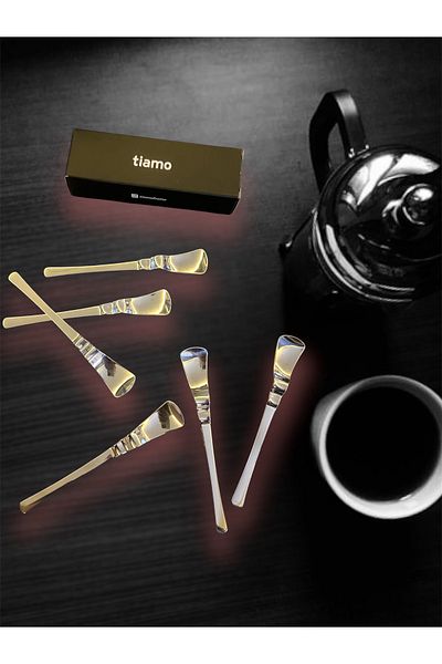 Tiamo Wormwood 12 Teaspoons 18/10
