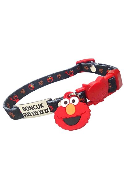 Ayz Aksesuar Güvenlik kilitli isimli kedi tasması, sallanmayan isimlik, kedi ...