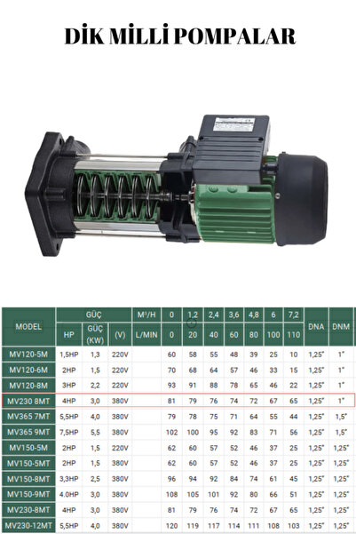MV230 8MT 4HP 380V DİK MİLLİ POMPA