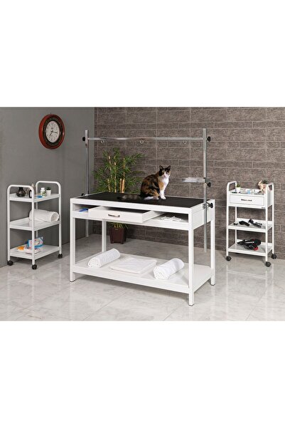 Veteriner Pet Bakım Ve Muayene Masası | ProBed-6006