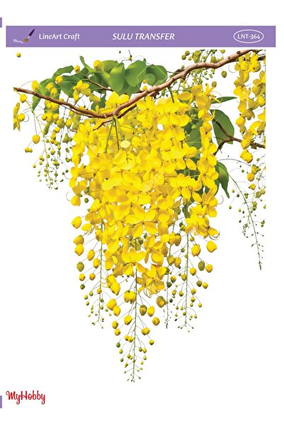 LİNEART LNT 364 Mimoza, Salkım Desenli Açık Zemin Sulu Transfer 25*35 cm