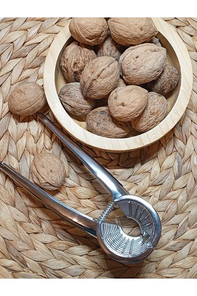 TARIK HOME Lux Stainless Steel Walnut Cracker