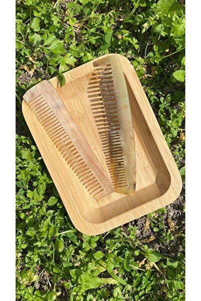 Doğal hayat 54 Kemik Tarak (Küçük boy)