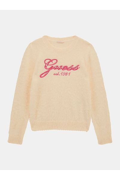 Guess Ls Sweater