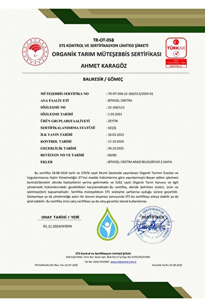 OliveArt 2024/25 5 Lt Natürel Sızma Zeytinyağı Soğuk Sıkım Filtresiz 0,3 Asit