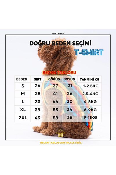 Pettrend Colorful Striped Cat Dog T-Shirt - Cat Dog Outfit