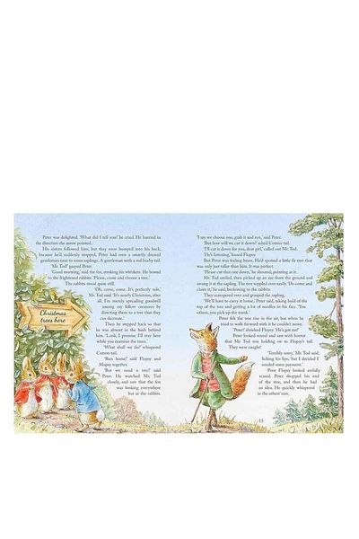 Kollektif Kitap Seti Peter Rabbit - Slide Winters
