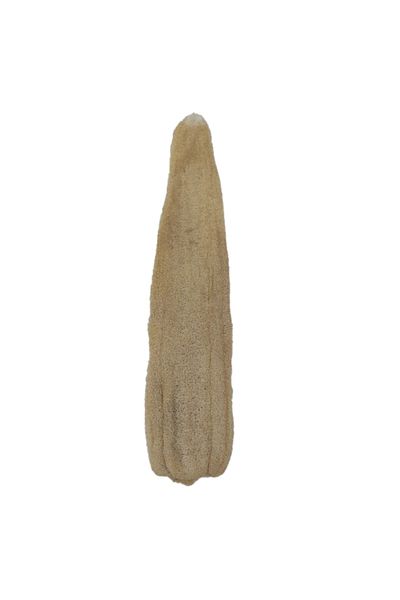 Bakkal Hasan Natural Pumpkin Fiber Pressed (60-70 cm) Kitchen Bathroom Fiber Pouch 5 Pieces - Bakkal Hasan