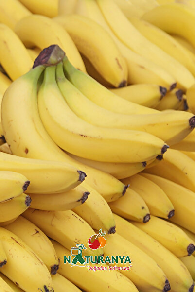Naturanya Muz 2 Kg - Alanya Muzu Doğal Lezzet Ve Günlük Hasat