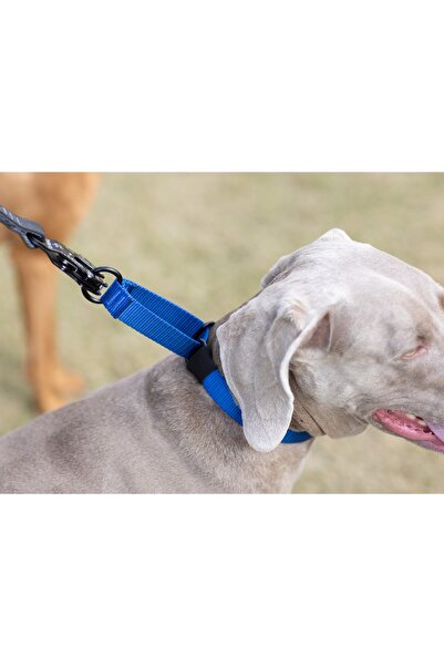 VSLT HANDMADE Martingale Eğitim Tasma. Martingale Tasma 30 kıloya kadar olan köpekler içindir