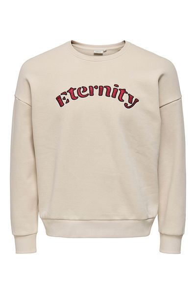 ONLY ONLWALLIS L/S O-NECK PRINT BOX CS SWT