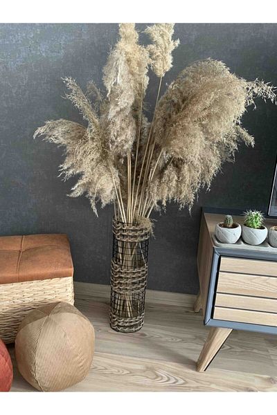 Egindra 50 cm Metal Wire Mesh Braided Pampas Vase - Three Braid Special Design