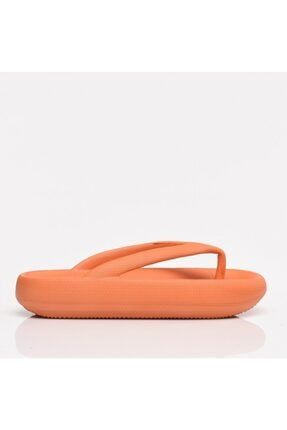 brandcategory.product-detail