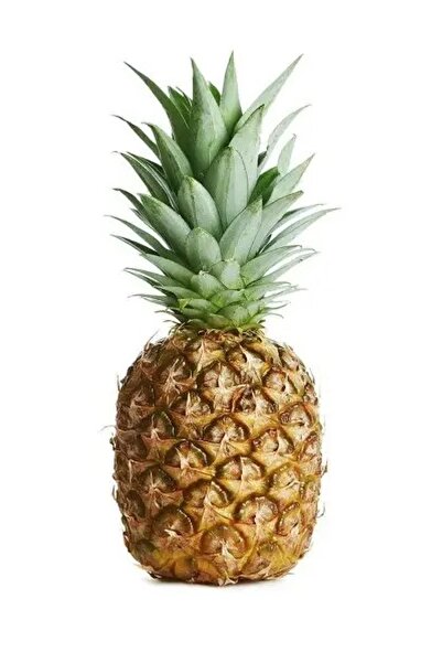 Genel Markalar Ananas 1 Adet