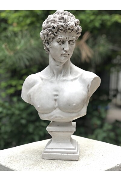 Hedgehog Art Aged David Heykel  Büyük Boy Büst  Özel Tasarım Dekoratif Heykel, Michelangelo David