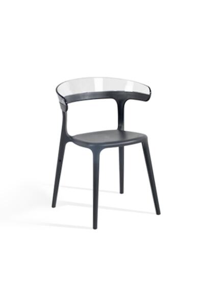 Papatya Luna Koltuk Antrasit Oturak Transparan Şeffaf Sırt Mutfak Sandalyesi ...