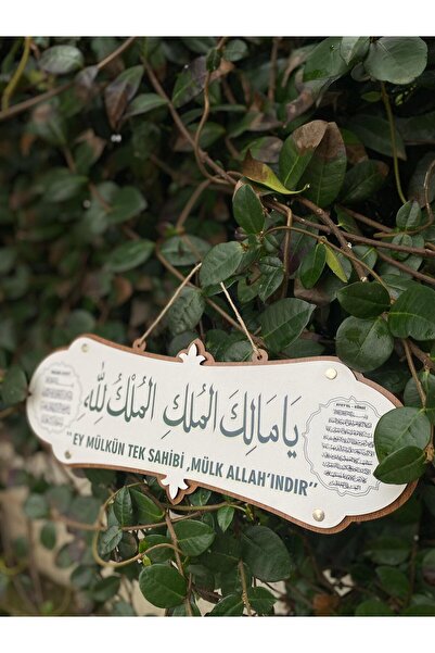 Ya Malikel Mülk Ey Mülkün Tek Sahibi Mülk Allahındır Ayetel Kürsi Ve Deprem Duası 30x10 Cm
