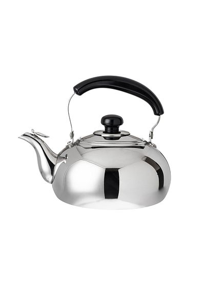 Potobelo Stainless Steel Teapot With Handle