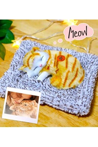 Genel Markalar Kişiye Özel Fotoğraflı Sweet Cat Minderde Uyuyan Sesli Peluş Kedi